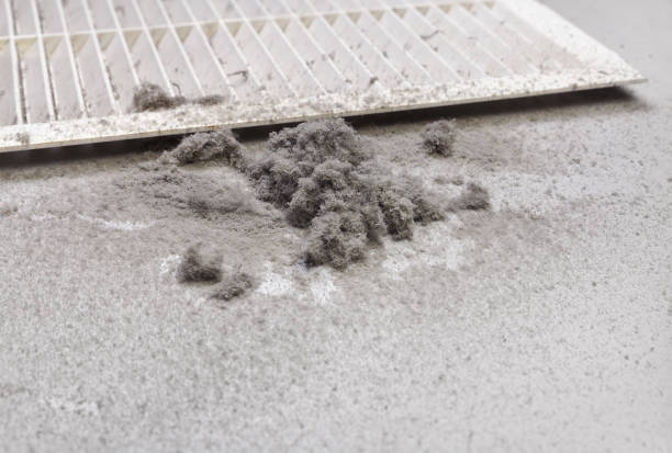 Best Best Air Duct Cleaning Near Me  in Fergus Falls, MN