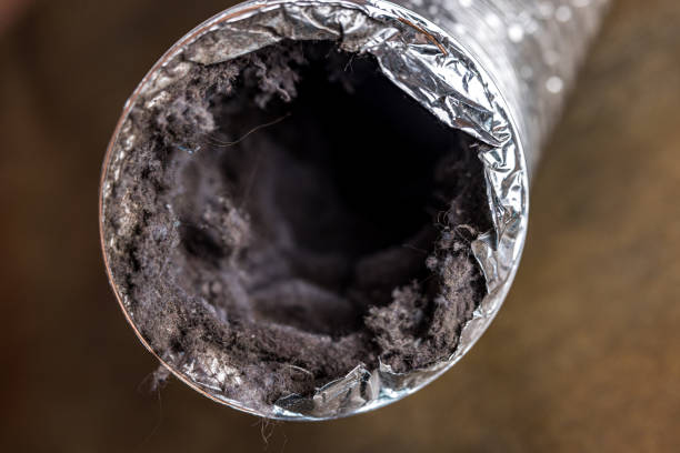 Best Ductwork Cleaning Services  in Fergus Falls, MN