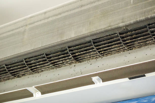 Best Duct Cleaning Specialists  in Fergus Falls, MN
